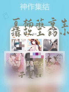 夏楠薇重生后与摄政王的小说