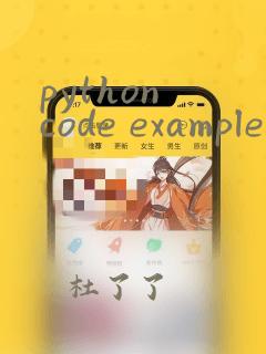 python code example