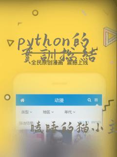 python的实训总结