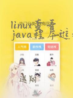 linux查看java程序进程