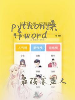 python操作word