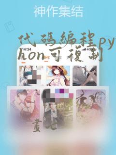 代码编程python可复制