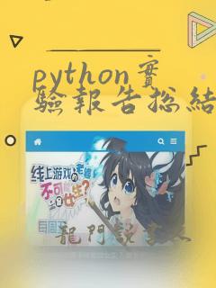 python实验报告总结体会