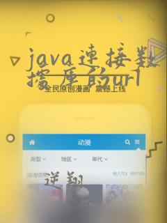 java连接数据库的url