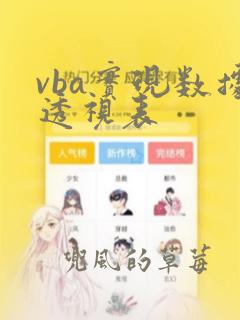 vba实现数据透视表