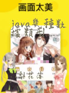 java几种数据类型