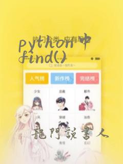 python中find()