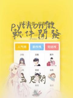 python做软件开发