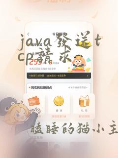 java发送tcp请求