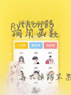 python的调用函数
