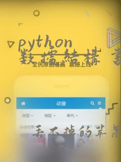python 数据结构 书籍
