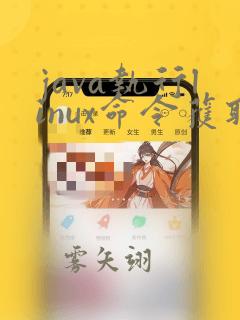 java执行linux命令获取结果
