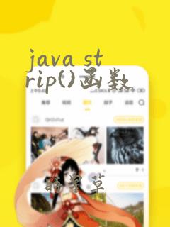 java strip()函数