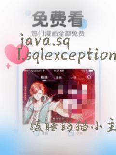 java.sql.sqlexception: 数字溢出