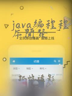 java编程程序开发