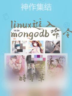 linux进入mongodb命令