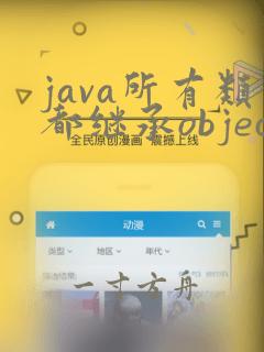 java所有类都继承object