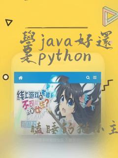 学java好还是python