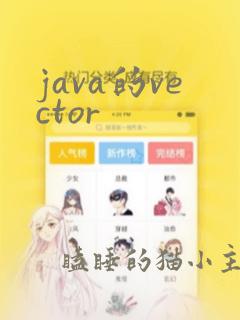 java的vector