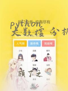 python 大数据 分析