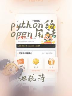 python的open用法