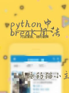 python中break用法