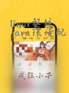 linux系统java环境配置