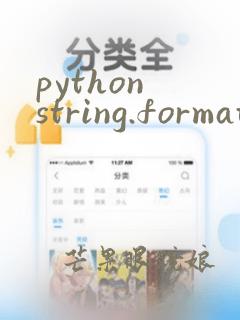 python string.format