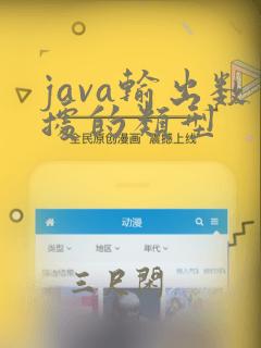java输出数据的类型