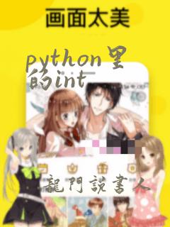 python里的int
