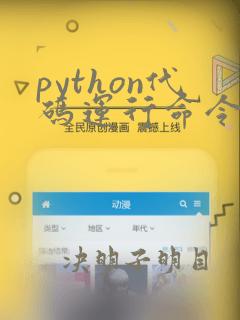 python代码运行命令
