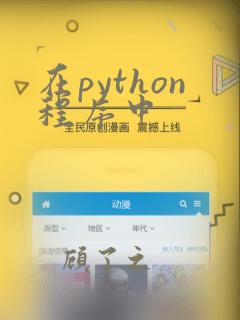 在python程序中