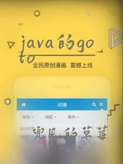 java的goto