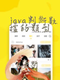 java判断数据的类型