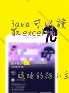 java可以读取excel吗