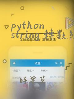 python string 转数组