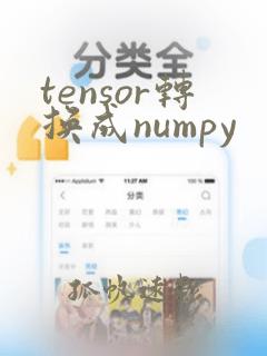 tensor转换成numpy