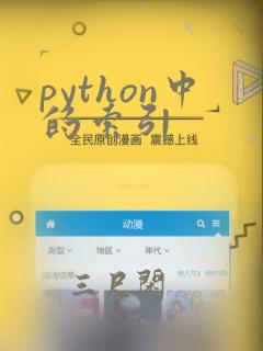 python中的索引