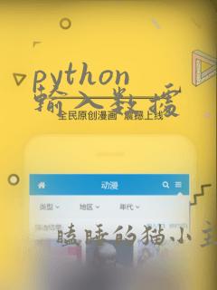 python 输入数据