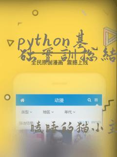 python基础实训总结