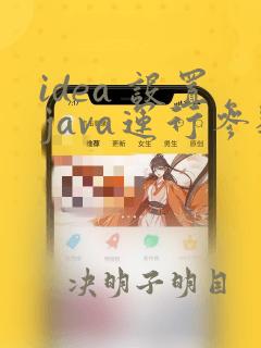 idea 设置java运行参数