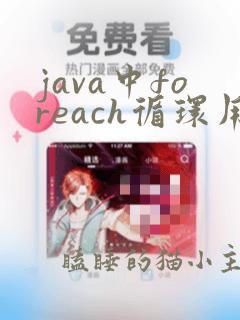 java中foreach循环用法
