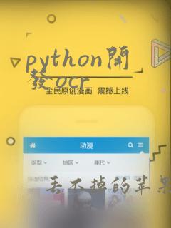 python开发ocr