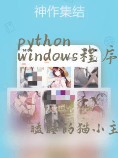 python windows程序
