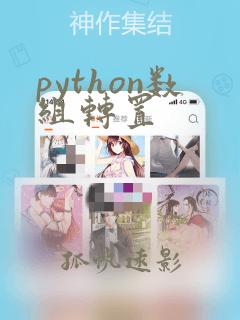 python数组转置