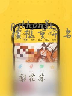 python数据框重命名