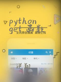 python get 函数