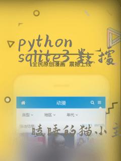 python sqlite3 数据类型