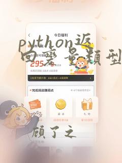 python返回变量类型