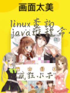 linux查询java进程命令